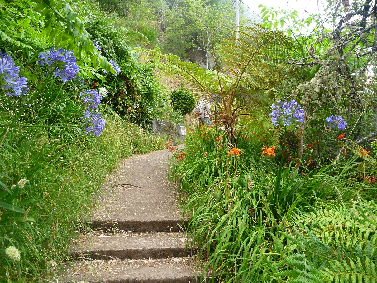 Madeira