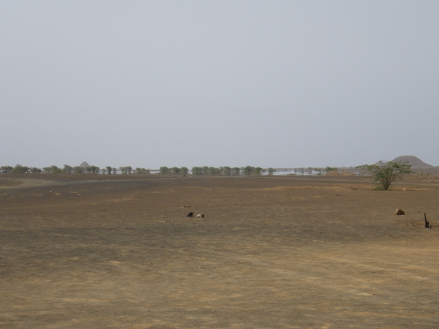 desert
