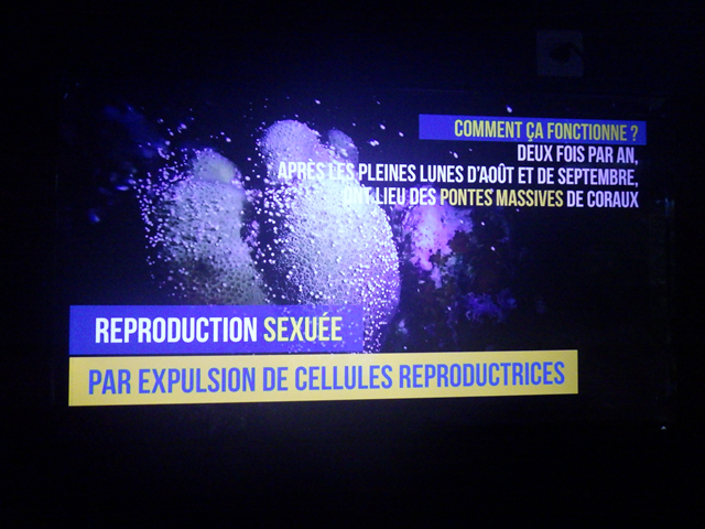reproduction sexuée