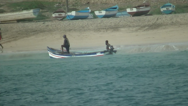 barque